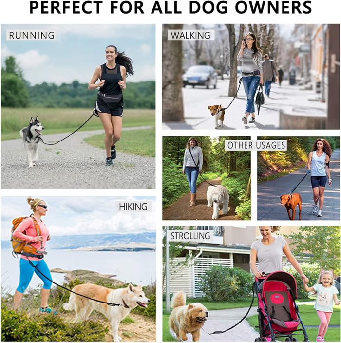 Easy Walk Hands-Free Dog Leash