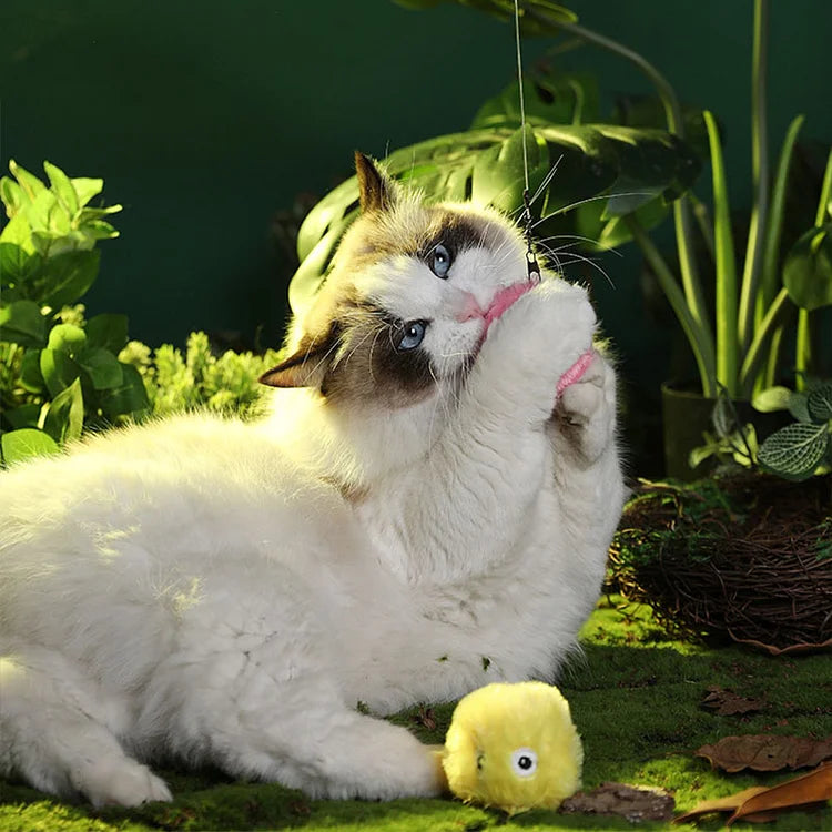 Fun Interactive Cat Toy Ball