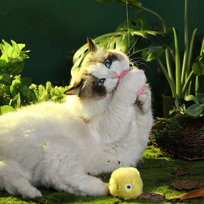 Fun Interactive Cat Toy Ball