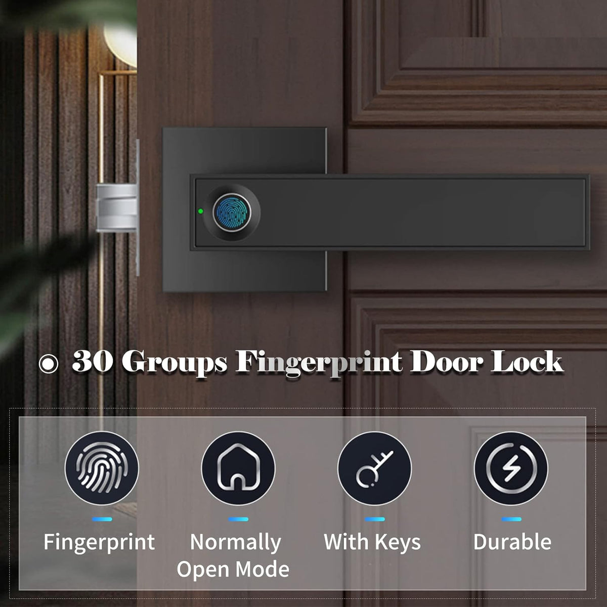 Digital Fingerprint Door Lock with Key and 30 User Codes