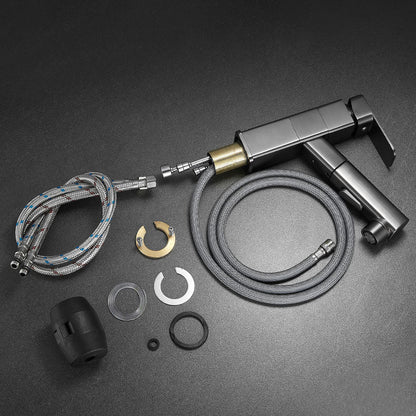 Modern Single Handle Bathroom Faucet with Pull Out Spray