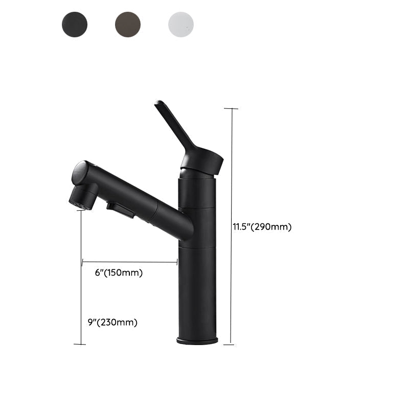 Modern Single Handle Bathroom Faucet with Pull Out Spray