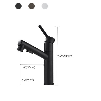 Modern Single Handle Bathroom Faucet with Pull Out Spray