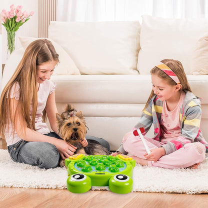 Fun Educational Frog Toy for Kids