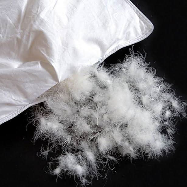 Soft Plush Comfortable Duvet - Cofik