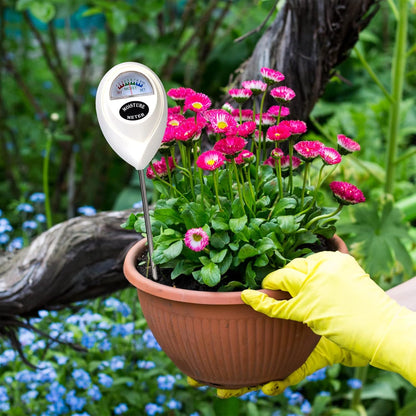 Accurate Soil Moisture Tester for Plant Care