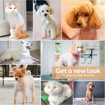 Pet Grooming Clipper Set for Dogs
