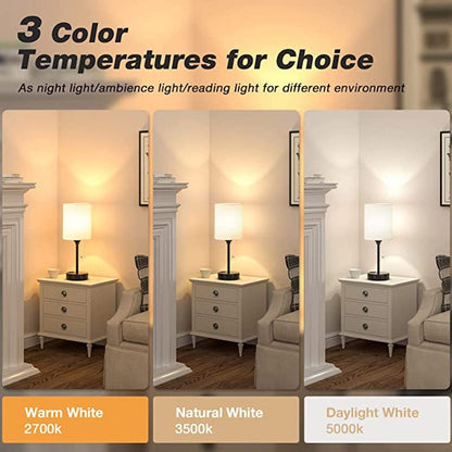 Smart Table Lamp with USB Charging and Color Options