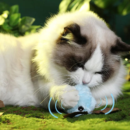 Fun Interactive Cat Toy Ball