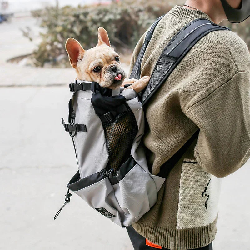 Pet Hiking Backpack - Durable Dog Carrier with Pockets