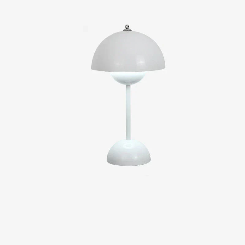 Sleek Metal Desk Lamp 220V