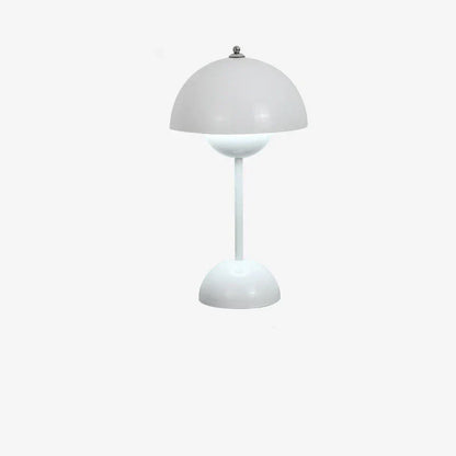 Sleek Metal Desk Lamp 220V