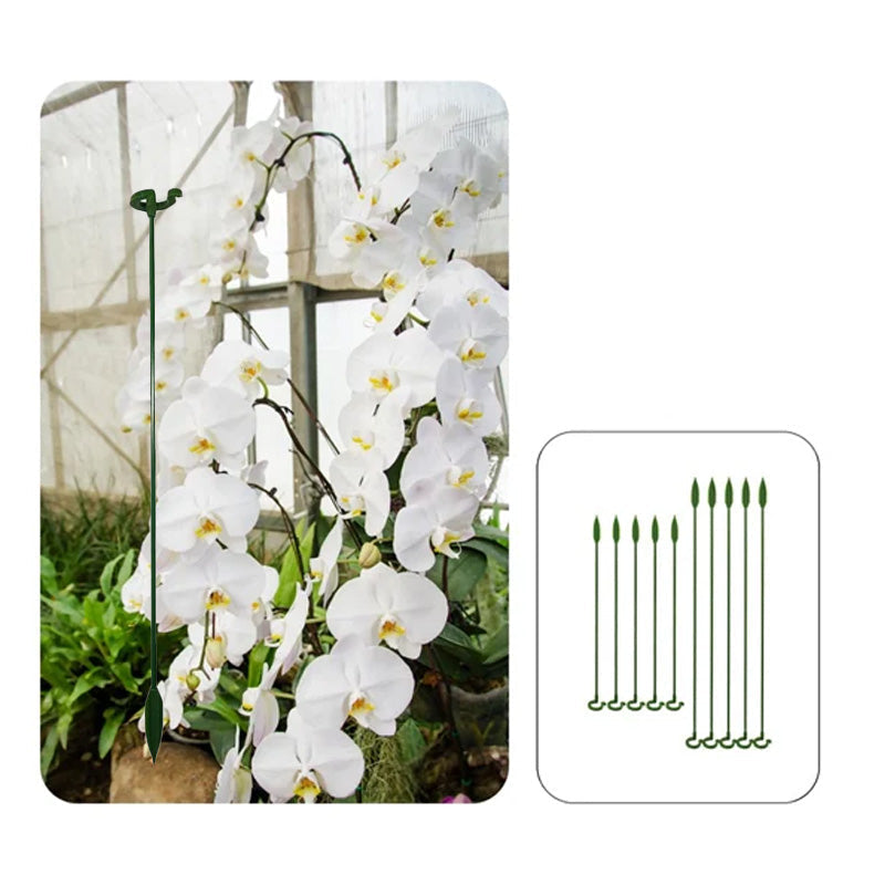 Garden Plant Stakes (10 Pack)