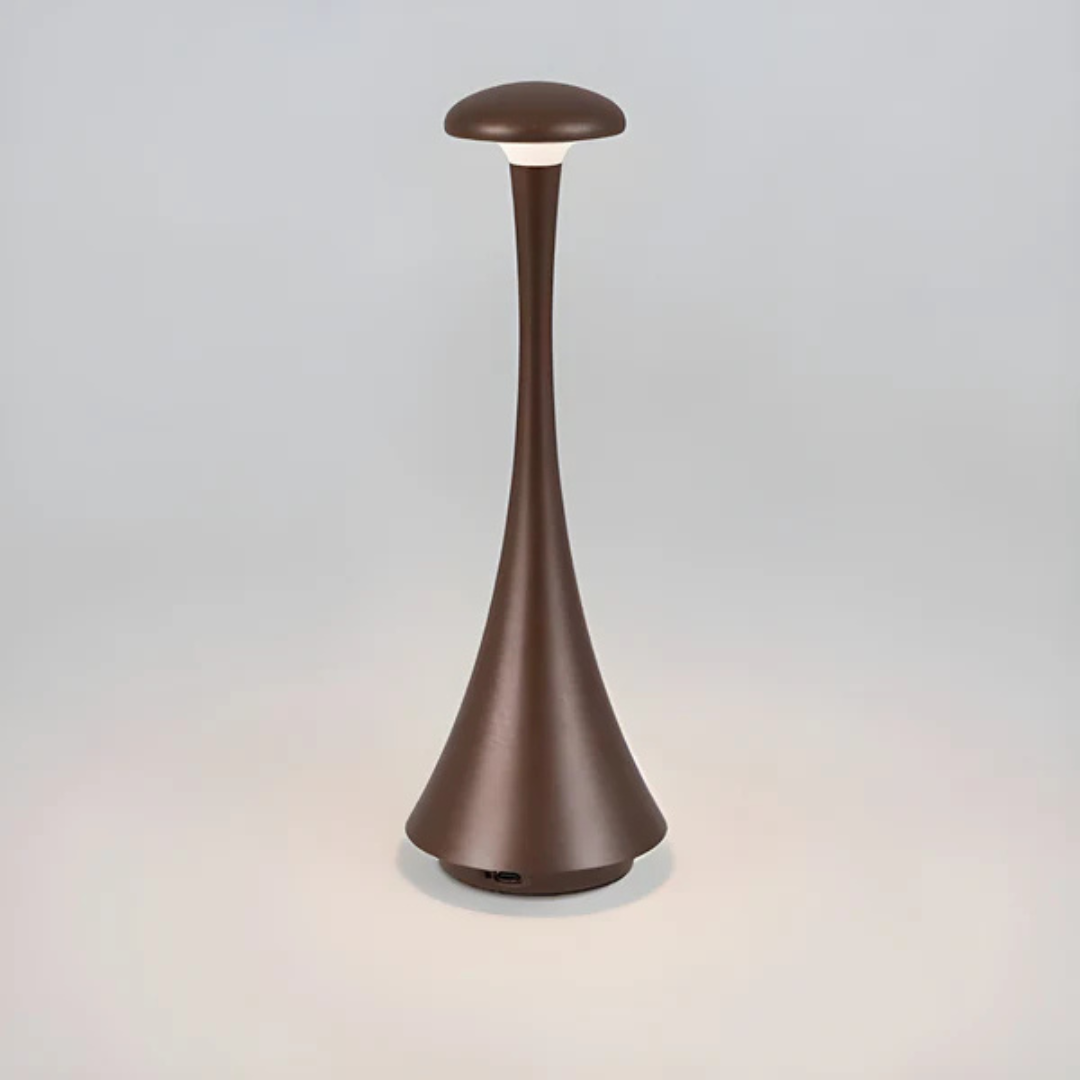 Energy Saving Desk Light Lamp