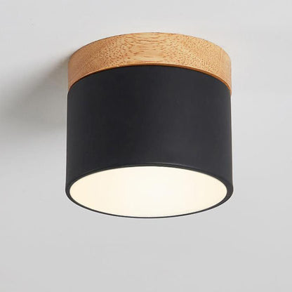 Modern LED Ceiling Lamp Adjustable Color