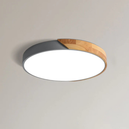 Eco Friendly Modern LED Ceiling Light
