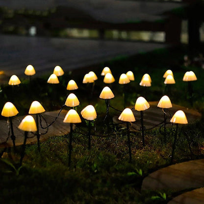 Colorful Solar Powered Fairy String Lights