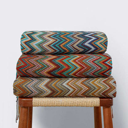 Vibrant Striped Fringe Throw Blanket