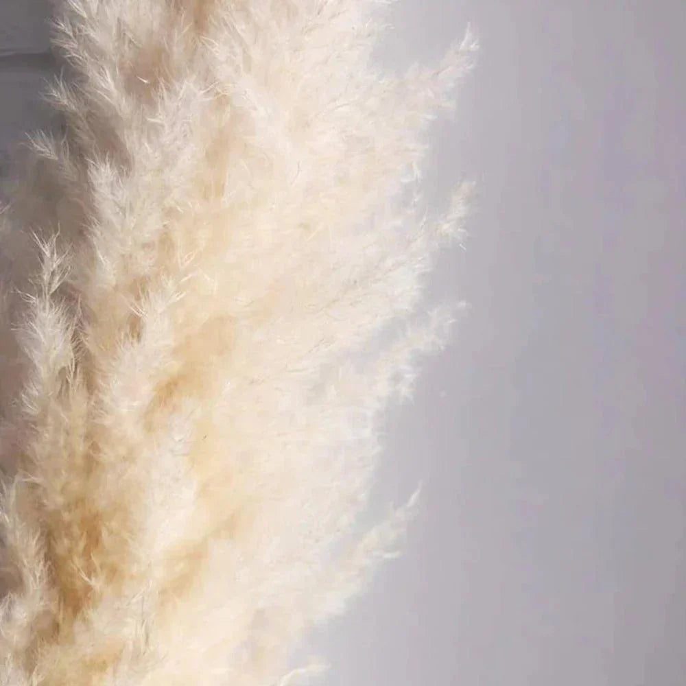 Natural Dried Pampas Grass Floral Arrangement for Home Decor