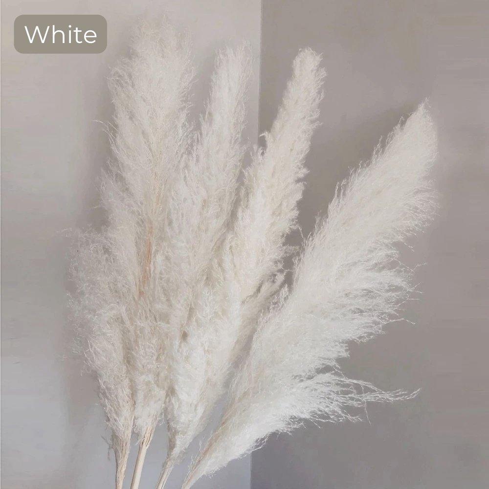 Natural Dried Pampas Grass Floral Arrangement for Home Decor