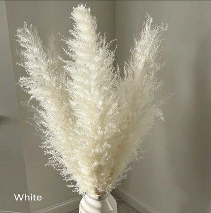 Natural Dried Pampas Grass Floral Arrangement for Home Decor