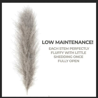 Natural Dried Pampas Grass Floral Arrangement for Home Decor