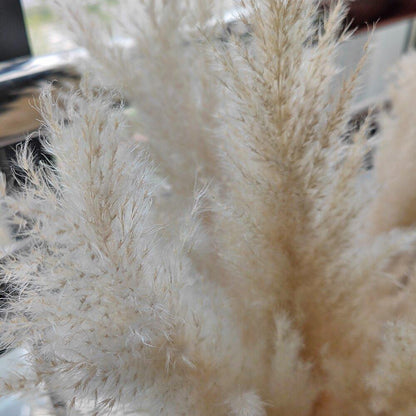 Natural Dried Pampas Grass Floral Arrangement for Home Decor