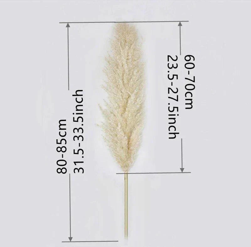 Natural Dried Pampas Grass Floral Arrangement for Home Decor
