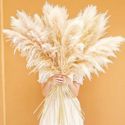 Natural Dried Pampas Grass Floral Arrangement for Home Decor