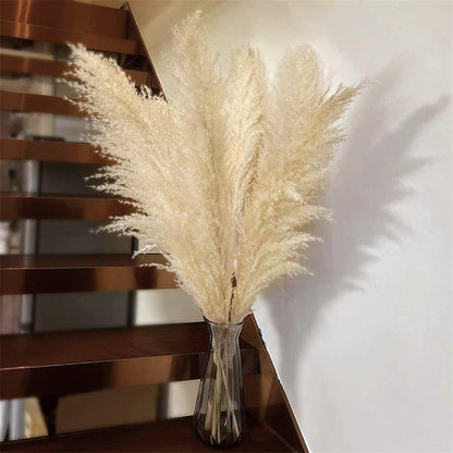 Natural Dried Pampas Grass Floral Arrangement for Home Decor