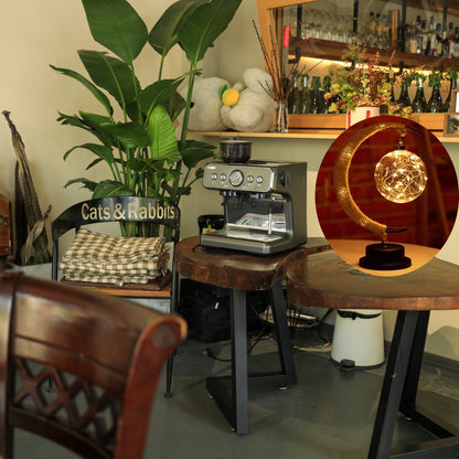 Elegant Metal LED Desk Lamp