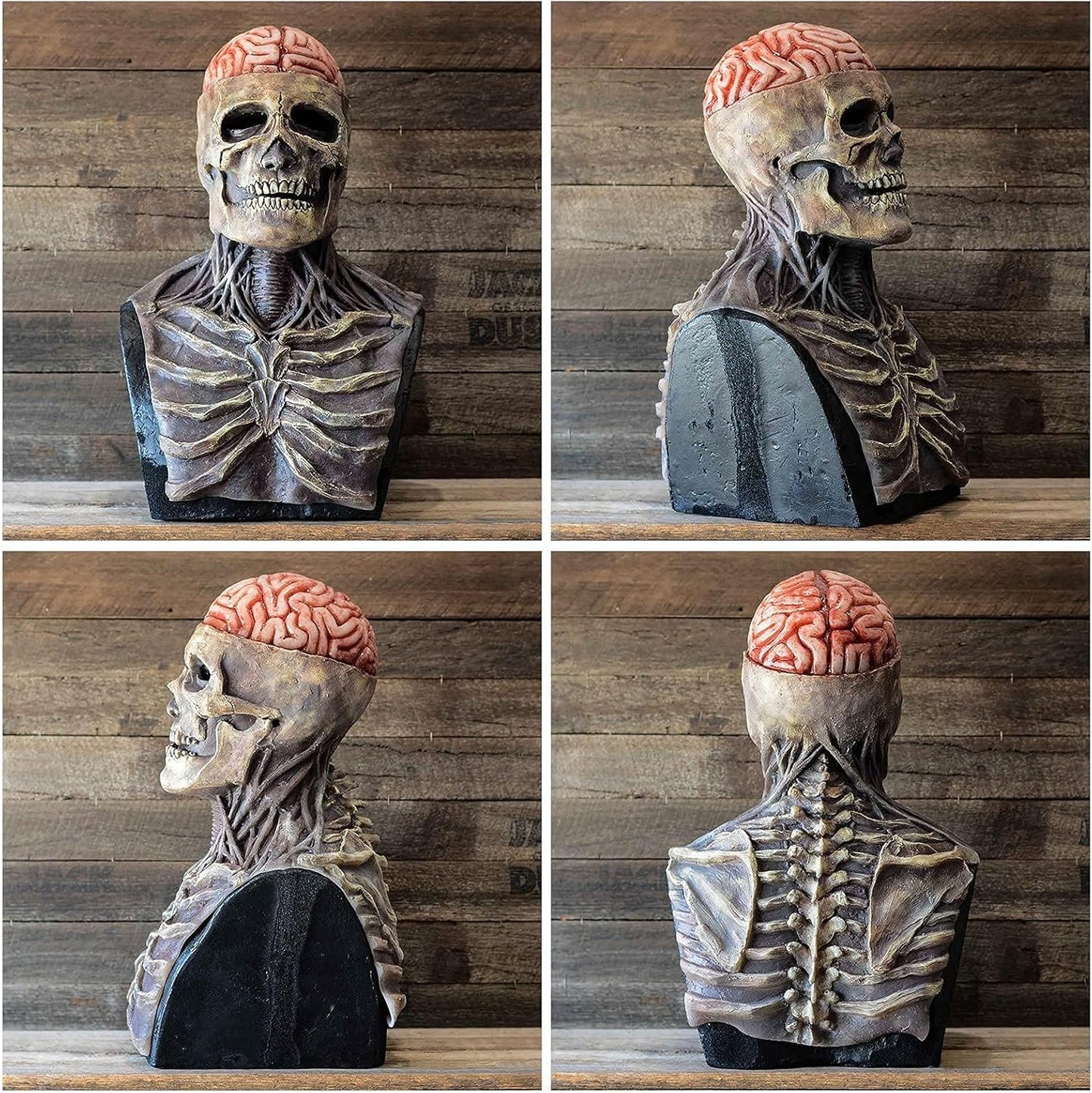 Spooky Skull Face Mask with Brain Design