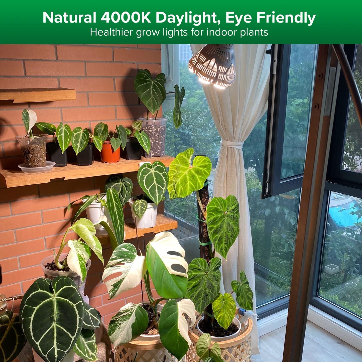 Bright White LED Plant Grow Bulb