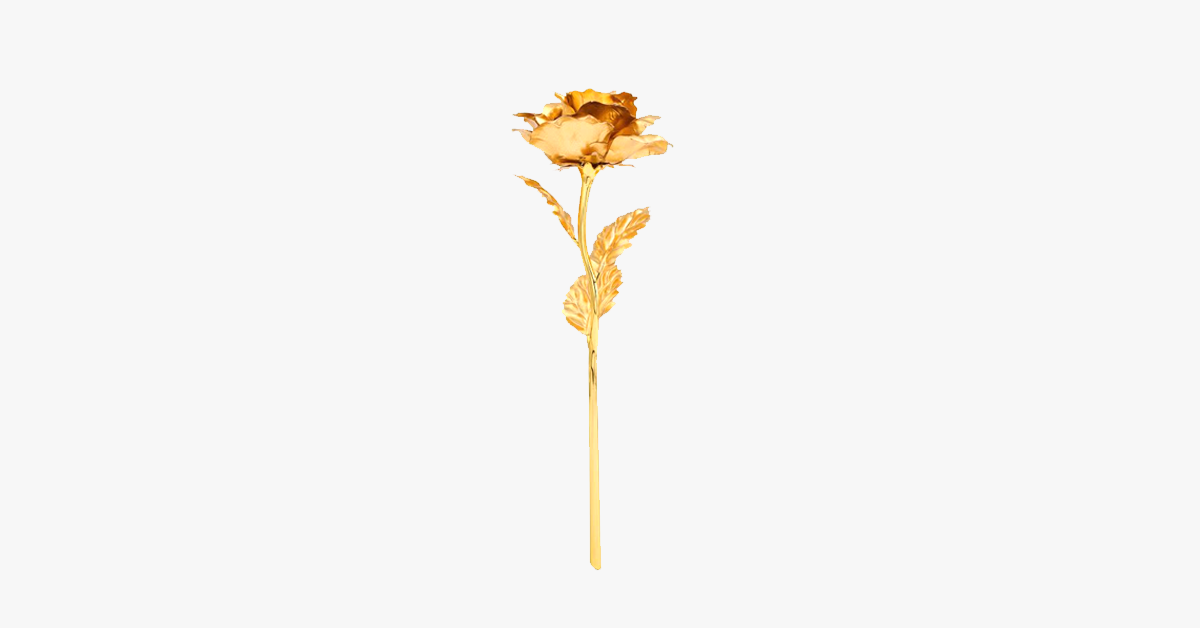 Luxurious Gold Rose in Gift Box