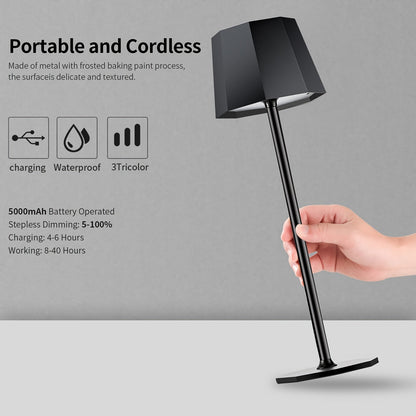 Portable 2-in-1 Cordless Desk Lamp Set