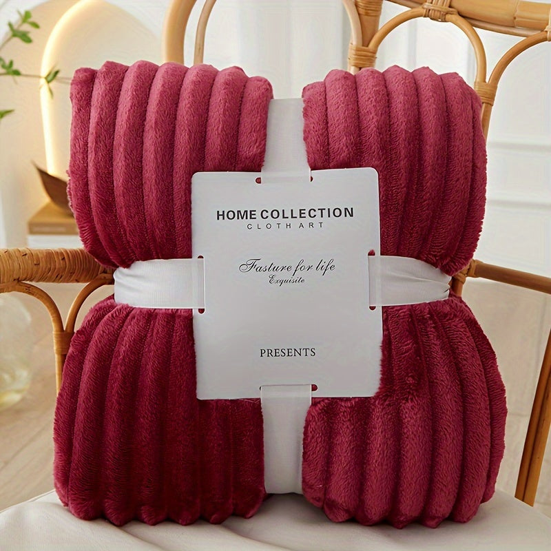 Plush Cozy Throw Blanket for Home