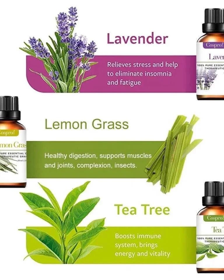 Natural Aromatherapy 12 Piece Essential Oil Kit