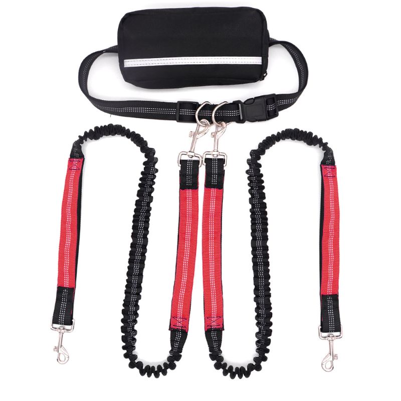 Adjustable Dog Running Leash with Pouch Bag