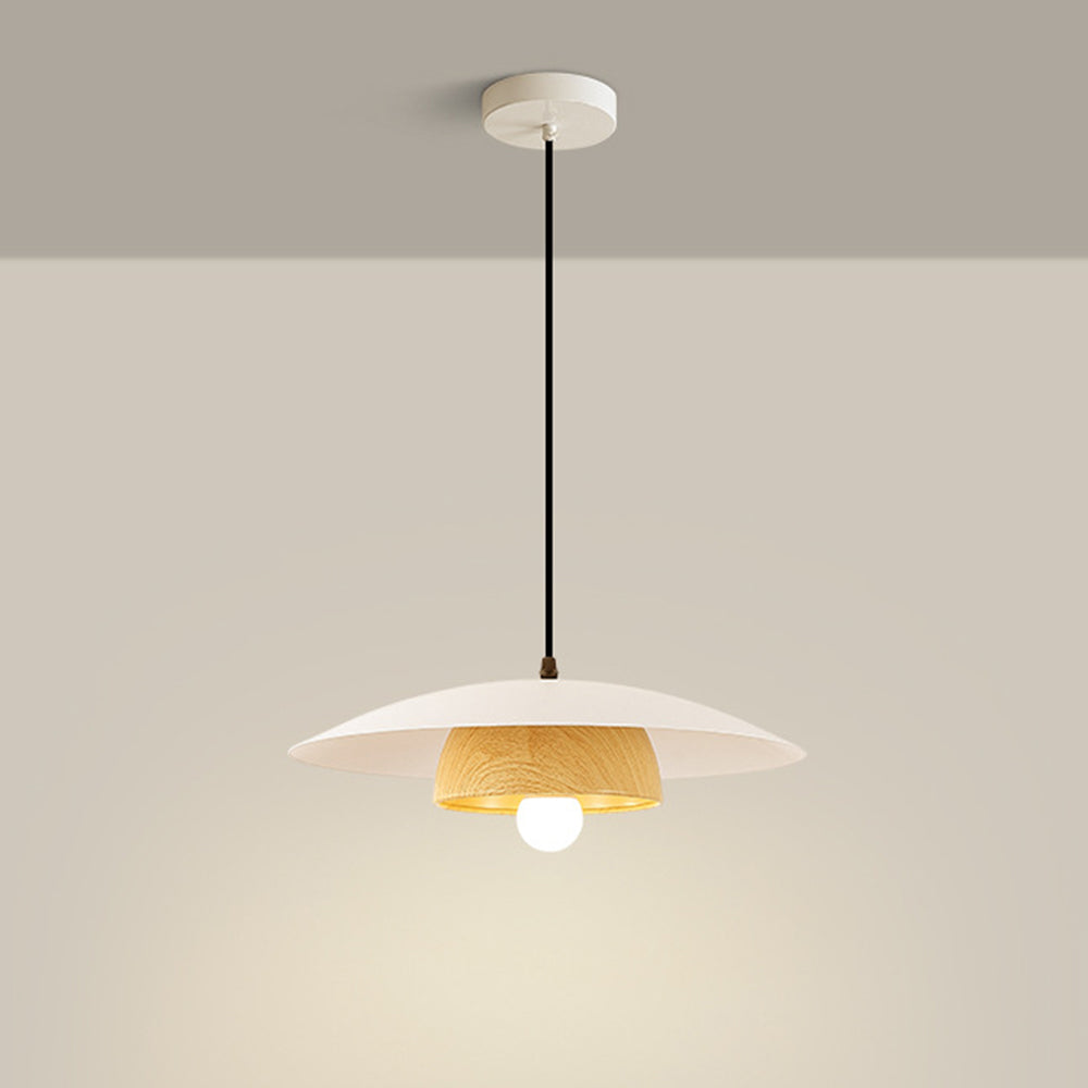 Modern Round Pendant Hanging Ceiling Light