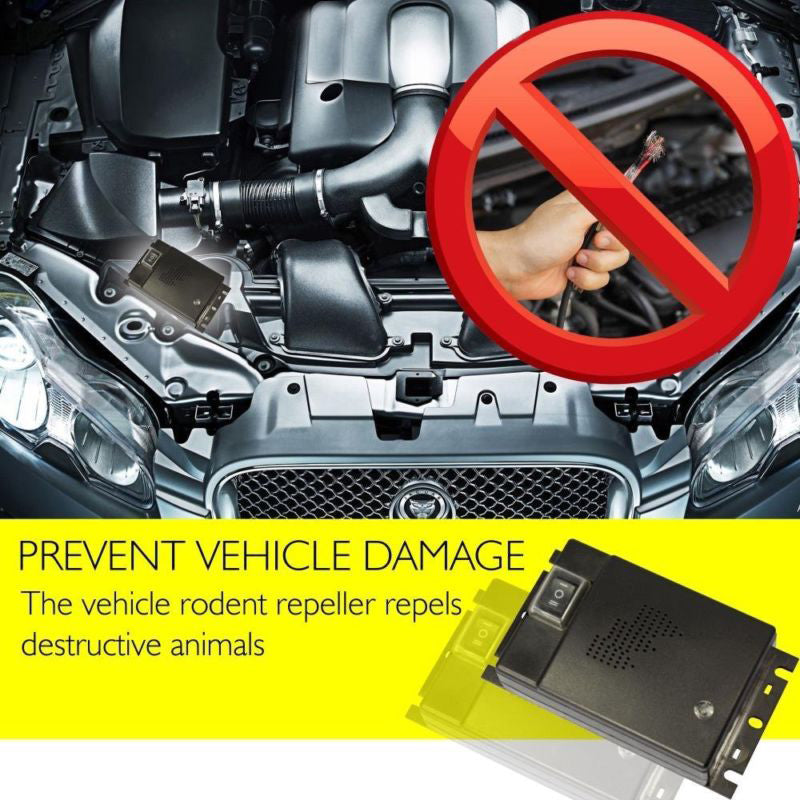Effective Mouse Car Repellent