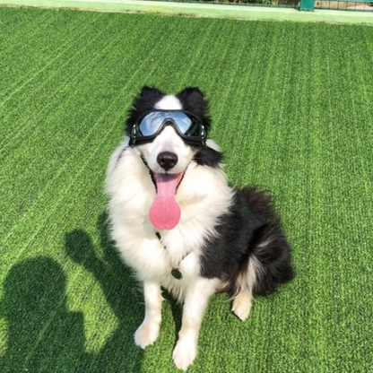 Dog Sunglasses Outdoor Pet Eye Protection