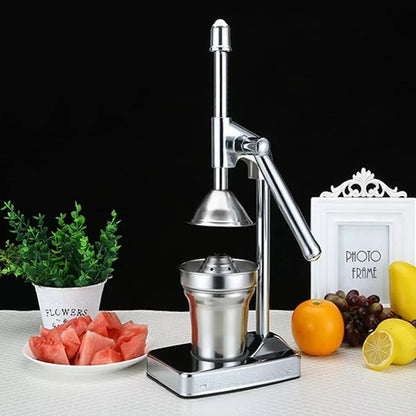 Premium Metal Fruit Juice Extractor