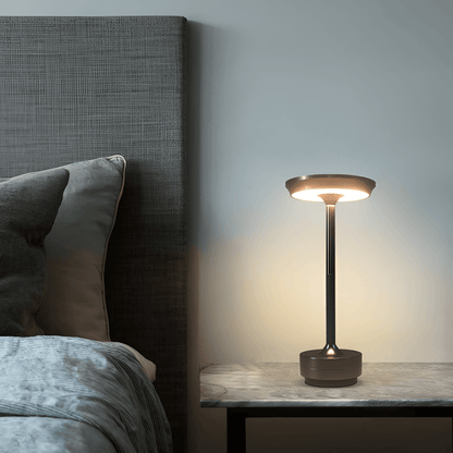 Bright Portable LED Desk Light