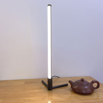 Slim LED Desk Lamp Modern Nightlight
