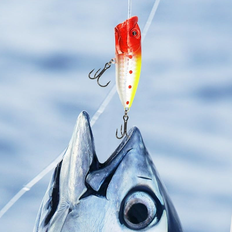 Daily Fishing Gear Countdown Kit