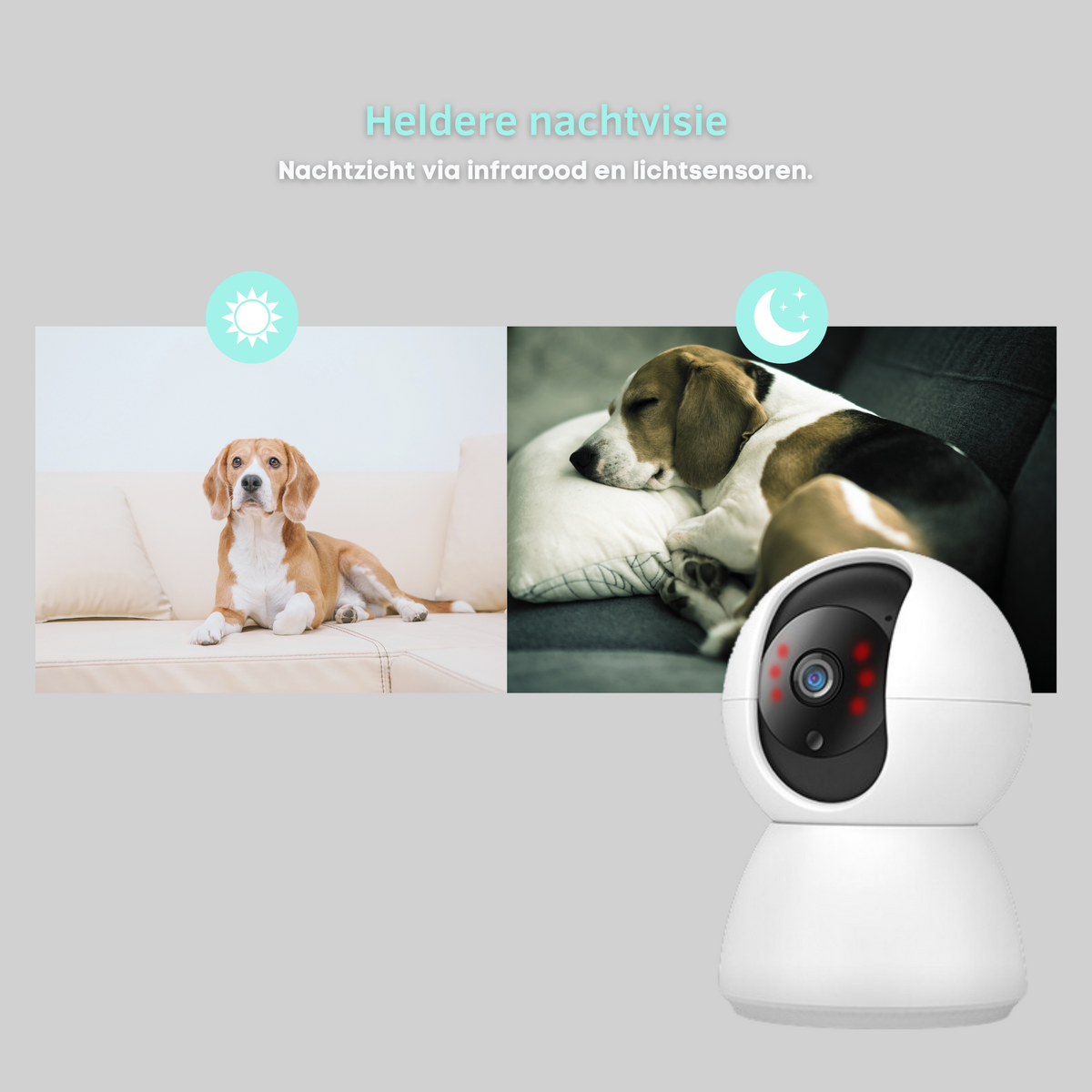 Pet Monitoring Smart Camera System