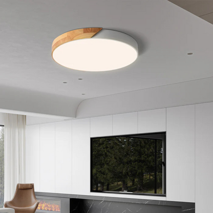 Eco Friendly Modern LED Ceiling Light