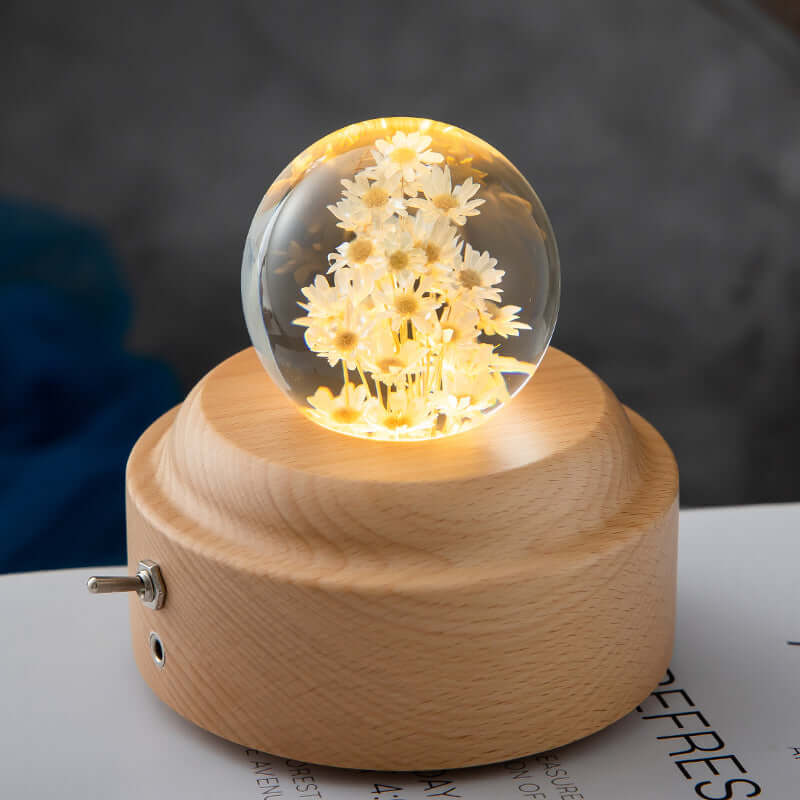 Colorful Kids Nightlight Soft Glow Lamp Wooden Base