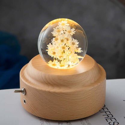 Colorful Kids Nightlight Soft Glow Lamp Wooden Base