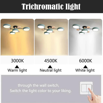 Sleek LED Ceiling Light Fixture Noxord